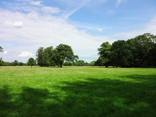 江蘇一紙廠半年內(nèi)被投訴51次，竟是因廢氣排放問題